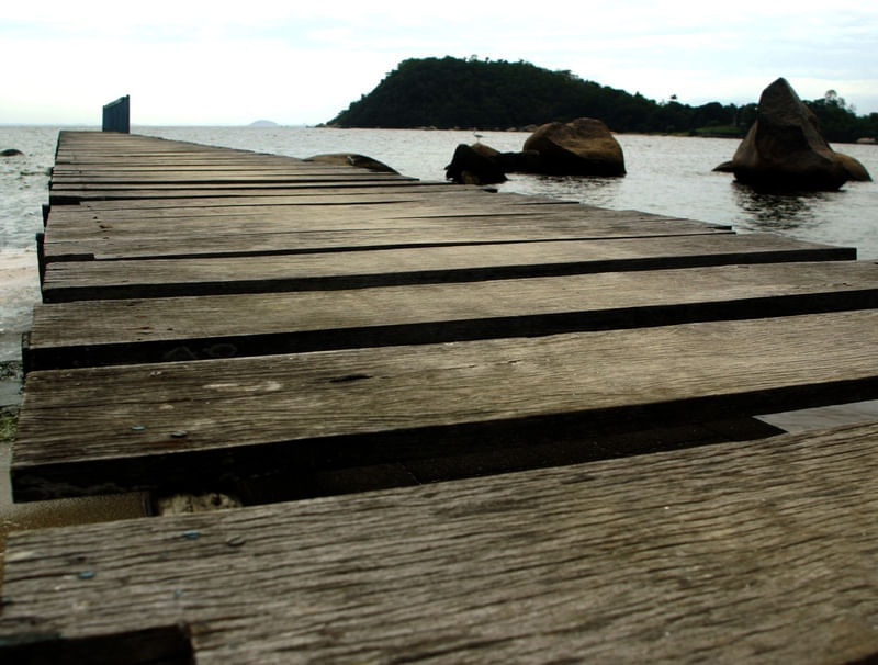 CAMINHO DE MADEIRO