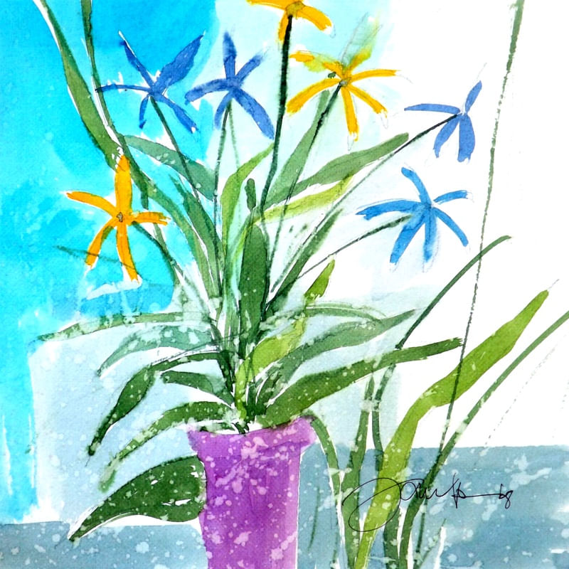 VASO II