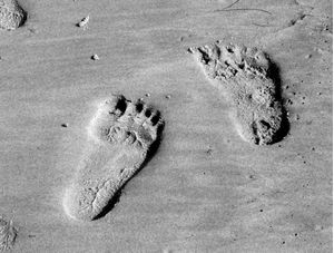 2FEET
