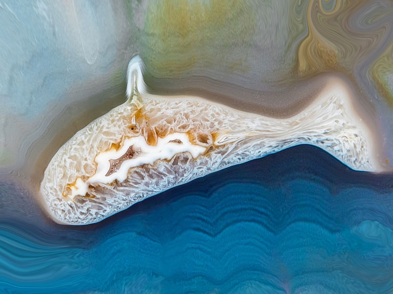 BELUGA