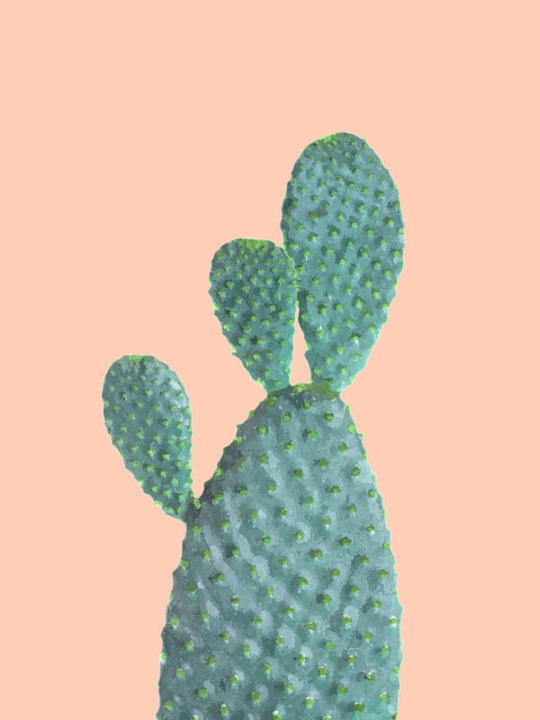 CACTO AGUARELA