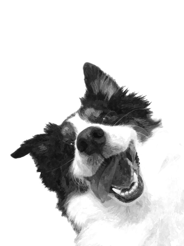 CACHORRO FELIZ EM PRETO E BRANCO