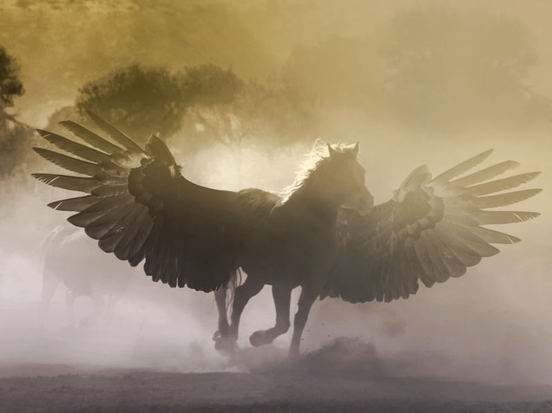 INVOCAÇÃO DE PEGASUS