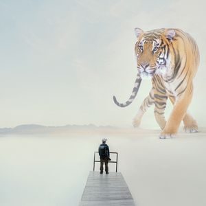 O TIGRE
