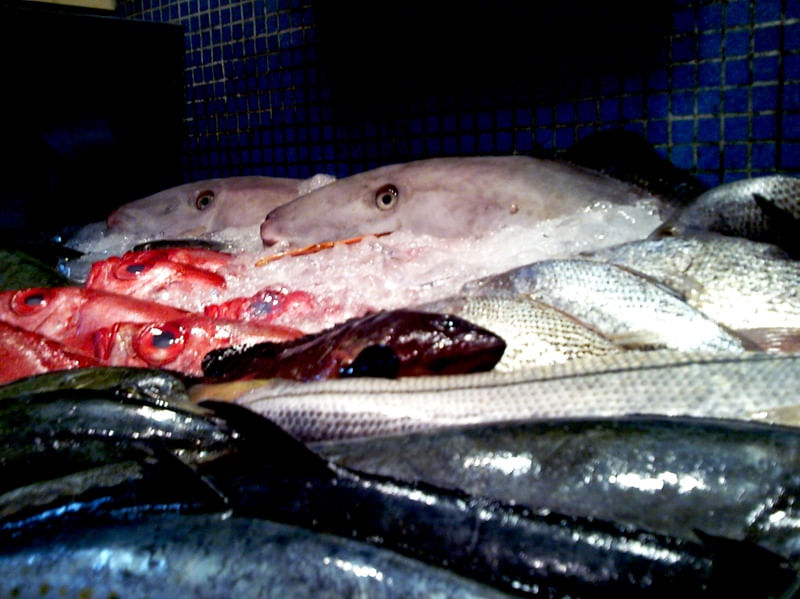 PEIXARIA EM TRINDADE