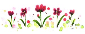 FLORES CHUVOSAS PANORAMICO