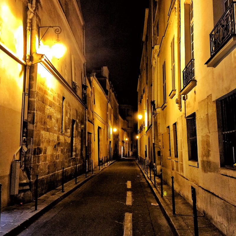 LE JAUNE MARAIS