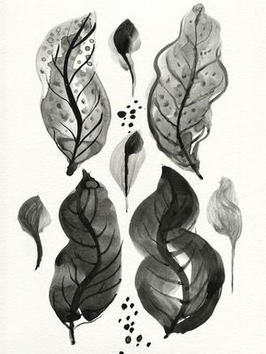 HERBARIUM