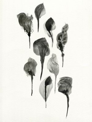 HERBARIUM II