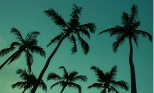 GREEN VIBES