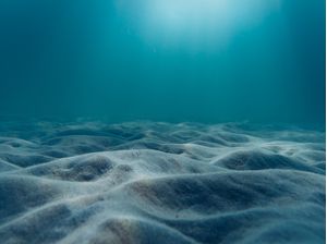 INTO THE DEEP