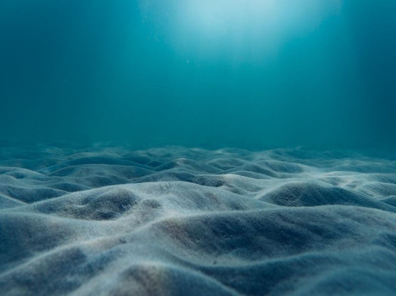 INTO THE DEEP