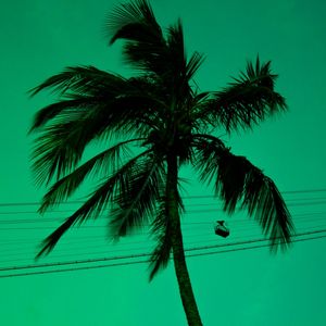 VIBE VERDE