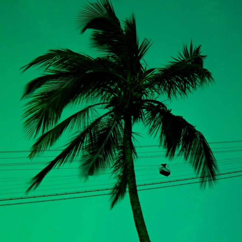 VIBE VERDE