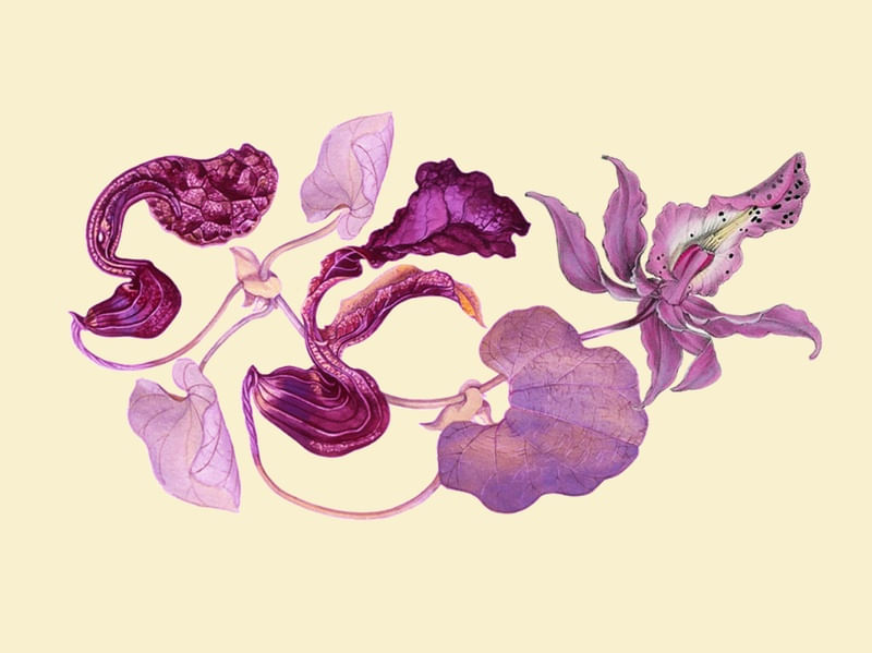 FLOWER ART 01