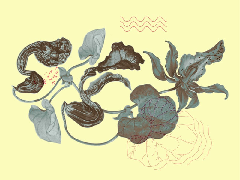 FLOWER ART 02