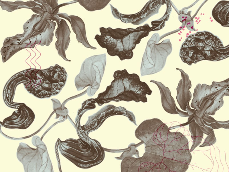FLOWER ART 04