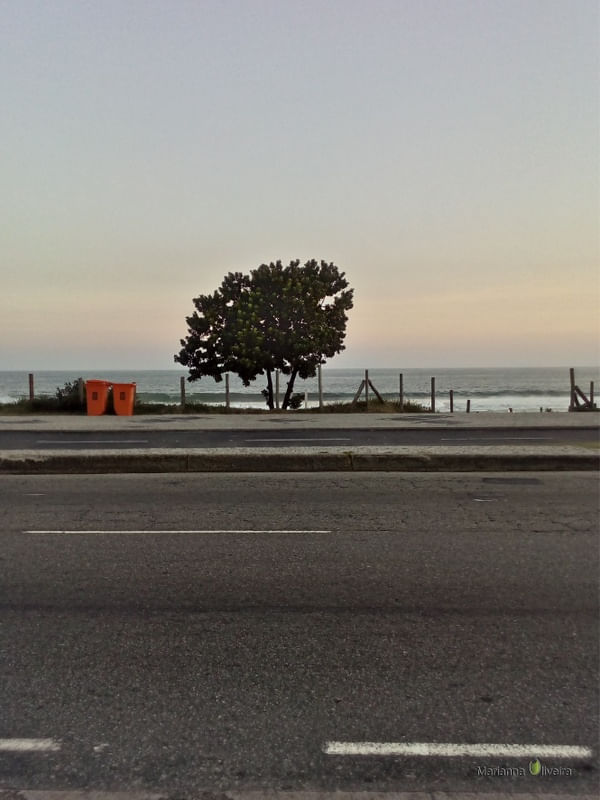 DA SÉRIE: PRAIA 40° -105