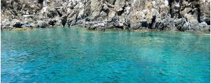 LITTLE BAY