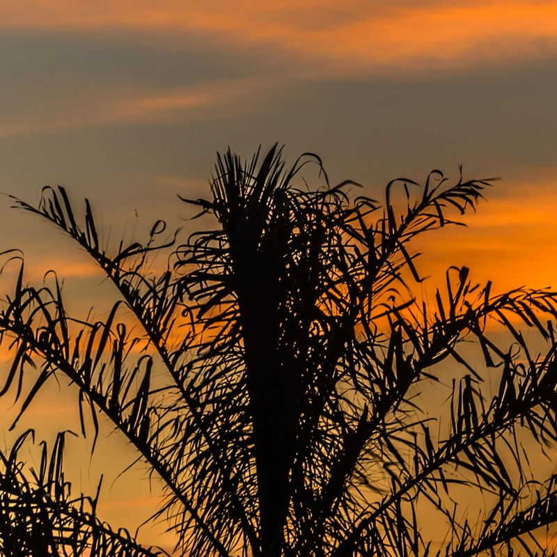 ENTARDECER 8