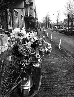 FLOWERS IN AMSTERDAM