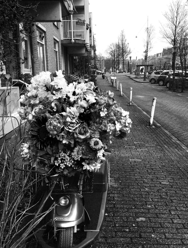 FLOWERS IN AMSTERDAM