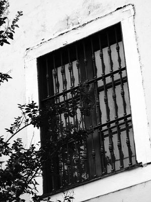 CELAS URBANAS