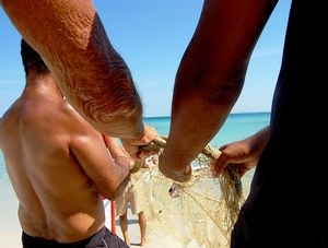 ARRASTÃO PEIXES ARRAIAL