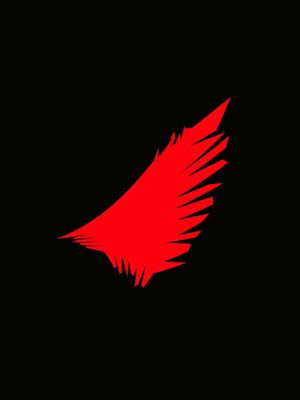 ASA DE ANJO