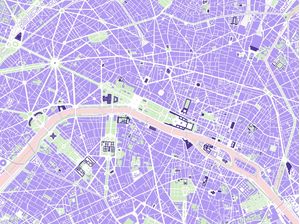 PARIS MAPA VIOLET