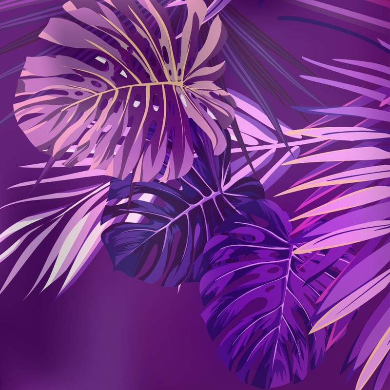 TROPICAL VIOLET