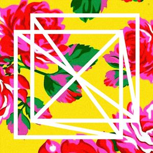 TROPICAL PERSPECTIVE PINK