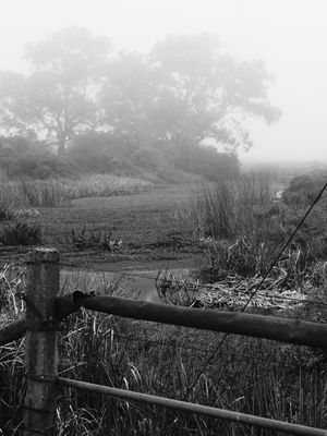 PAISAGEM PERDIDA