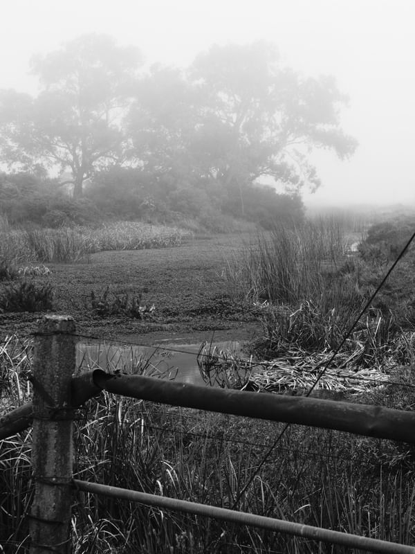 PAISAGEM PERDIDA