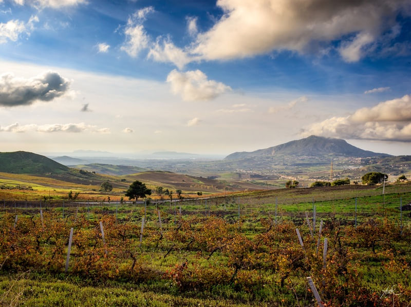 SICILIA BEDDA