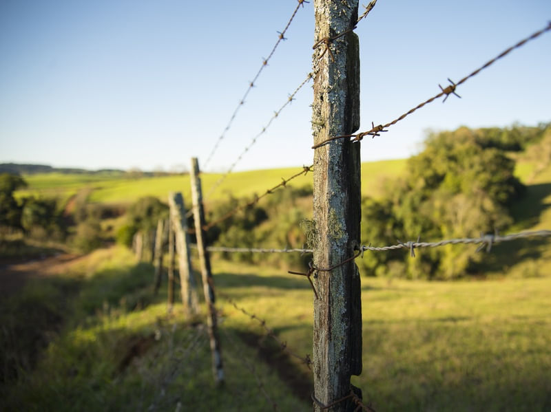 BUCOLIC II