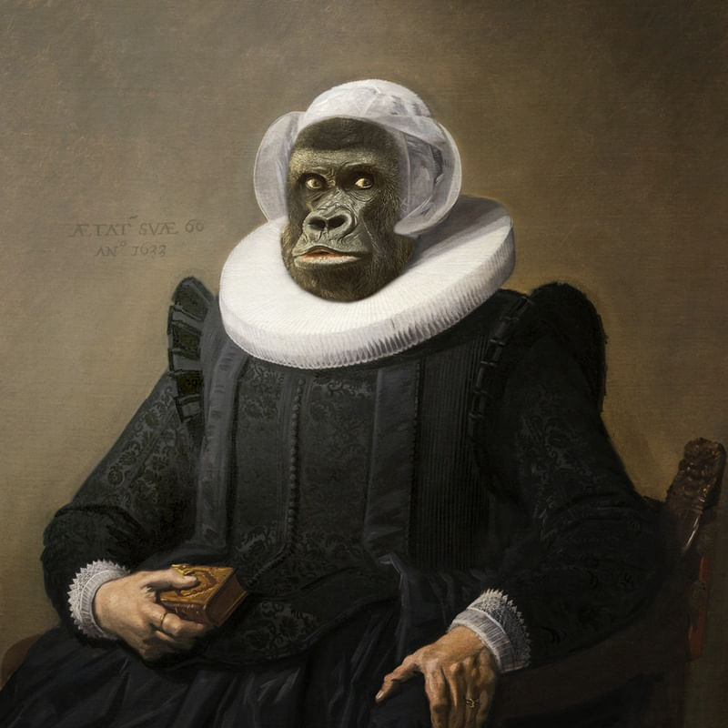 DONA MACACA
