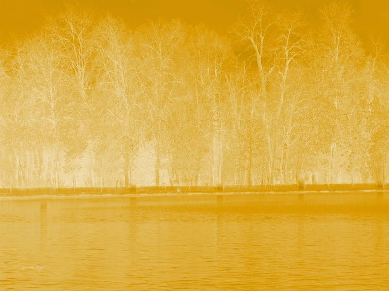 MUNDO AMARELO