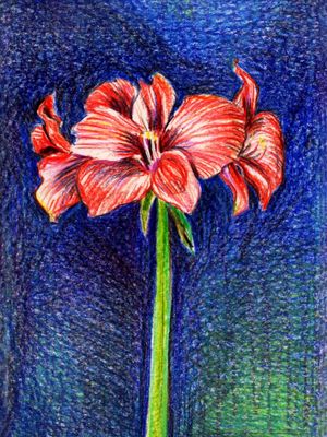 SIGNIFICADO DAS FLORES 1996