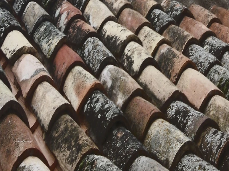 TEGULA
