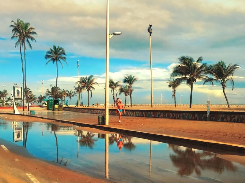 REFLEXOS TROPICAIS - AQUARELA DO BRASIL