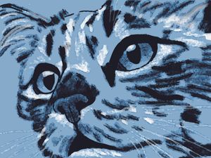 OLHAR FELINO