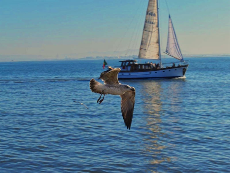 JUST PASSING BY