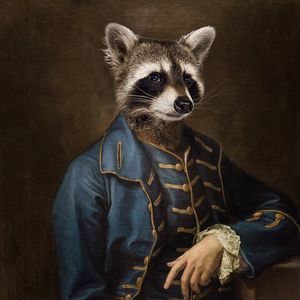SR RACCOON