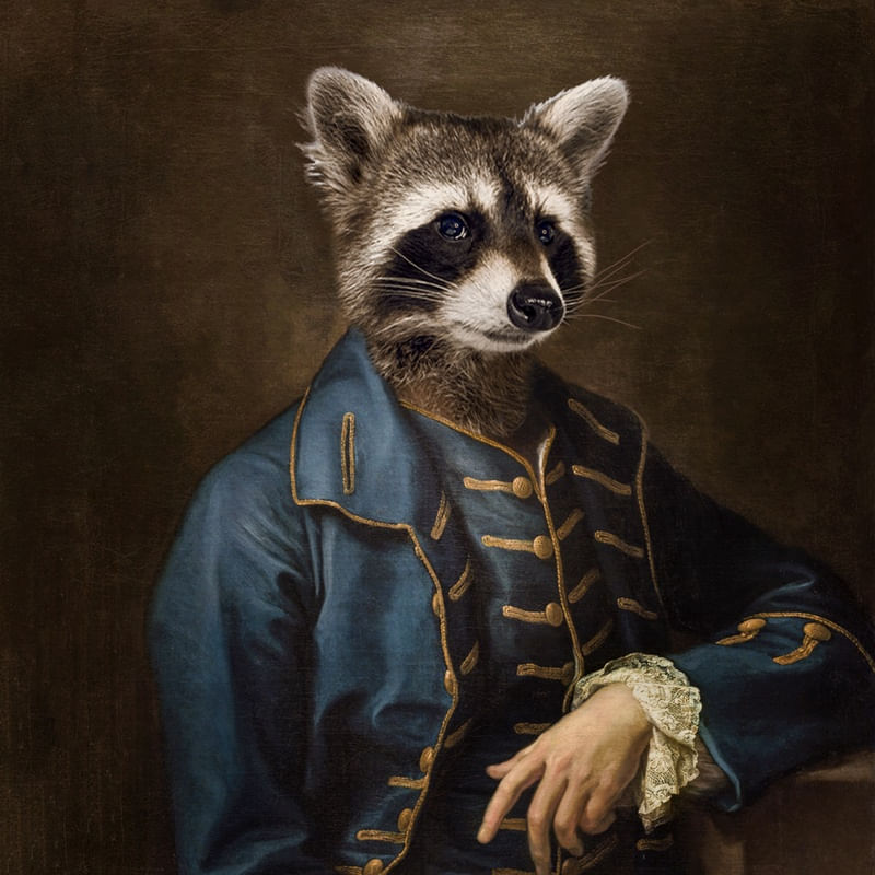 SR RACCOON