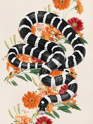 SNAKE22