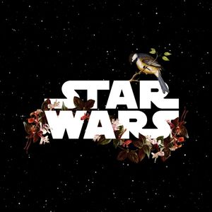 STAR WARS - FLORAL