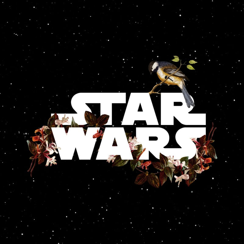 STAR WARS - FLORAL