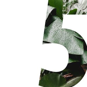 BOTÂNICA 5
