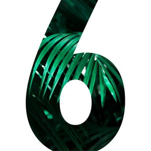 BOTÂNICA 6